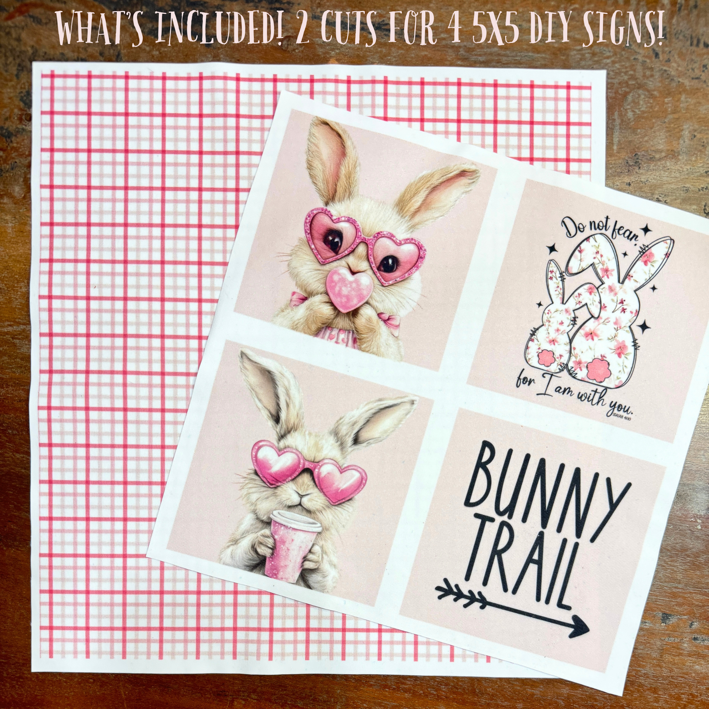 Spring Bunny Set-Signs Made Easy 002